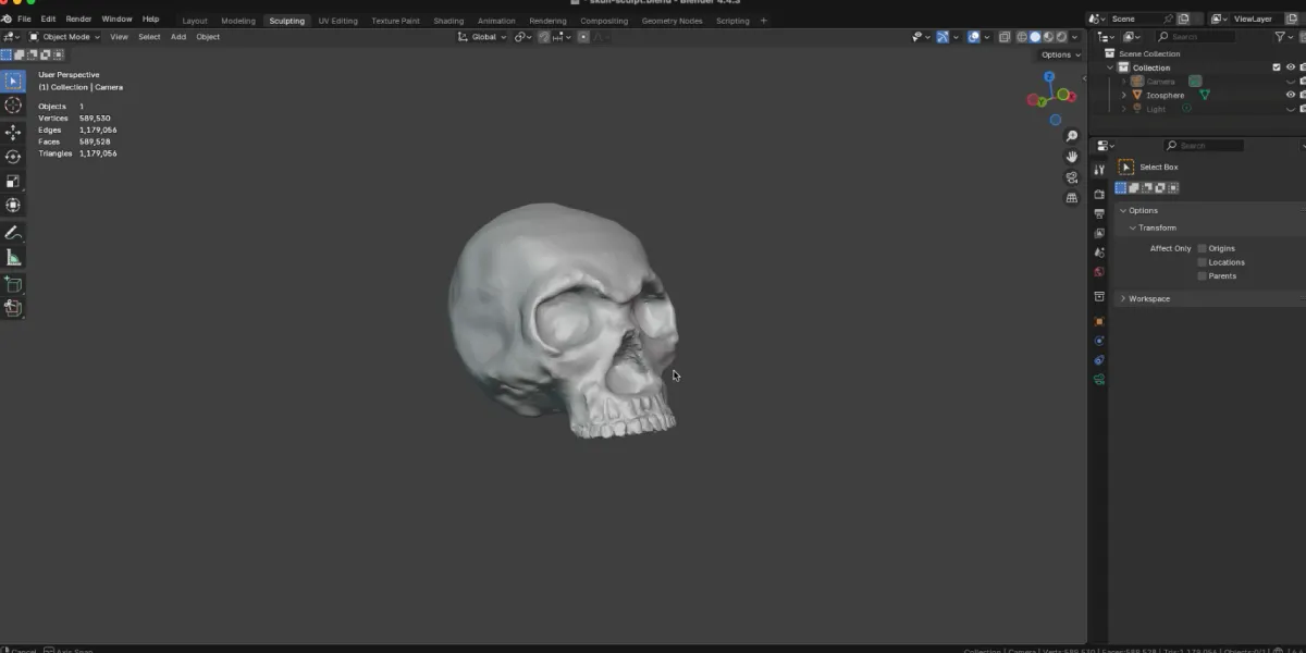 3D Skull Modelled In Blender